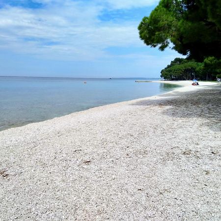 Hotel Villa Vera 2 Fažana Εξωτερικό φωτογραφία