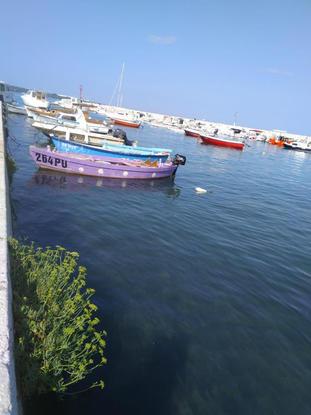Hotel Villa Vera 2 Fažana Εξωτερικό φωτογραφία